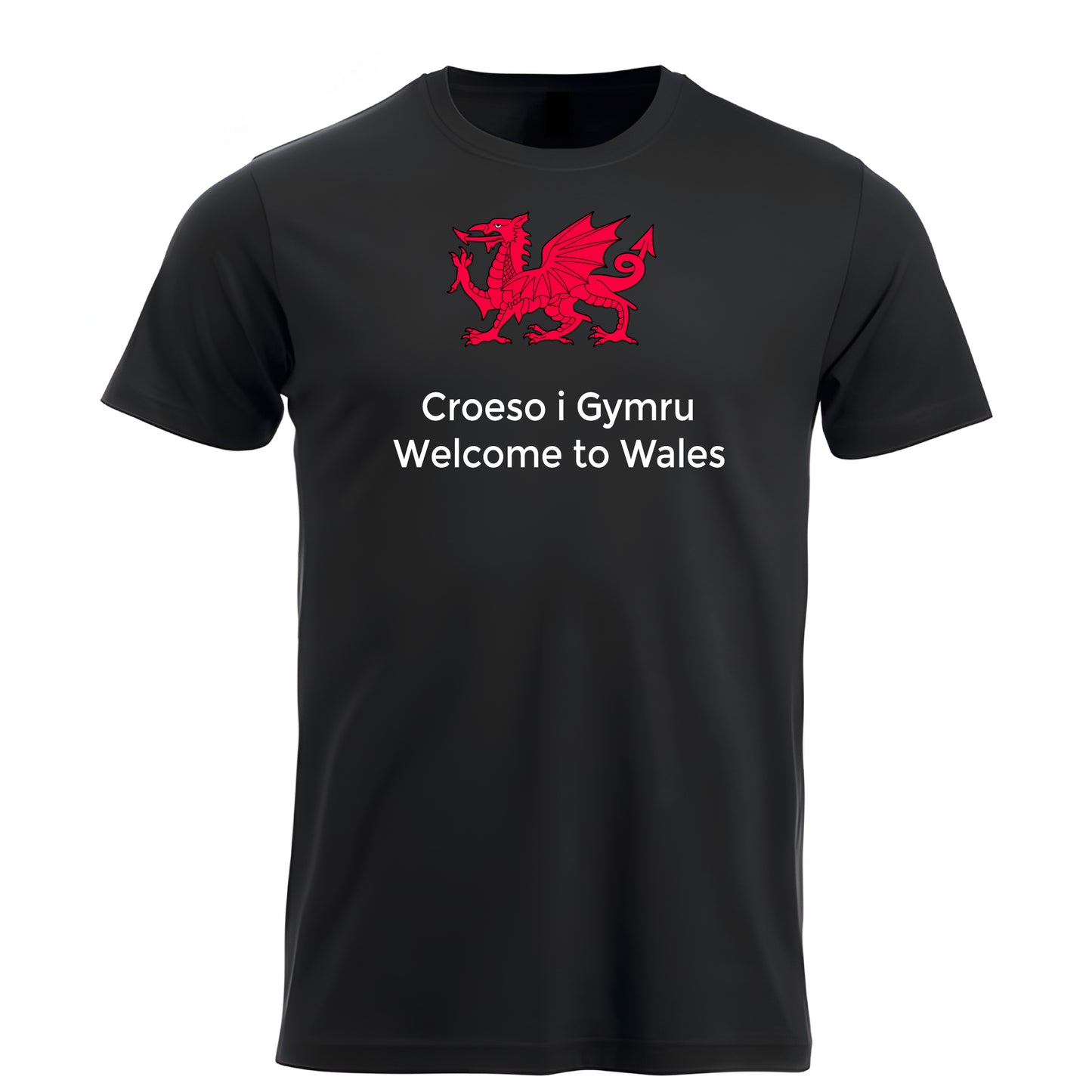 Youth Welcome to Wales - Croeso i Gymru t-shirt 201005