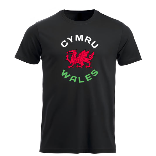 Welsh Modern Red Dragon Flag t-shirt 201002