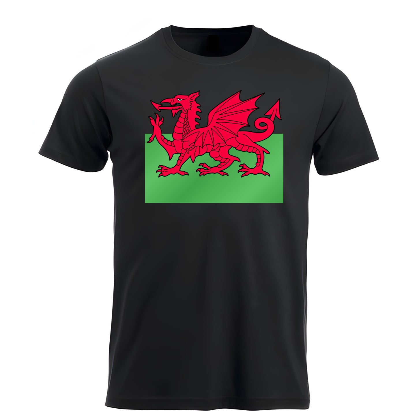 Welsh Red Dragon Flag t-shirt 201000