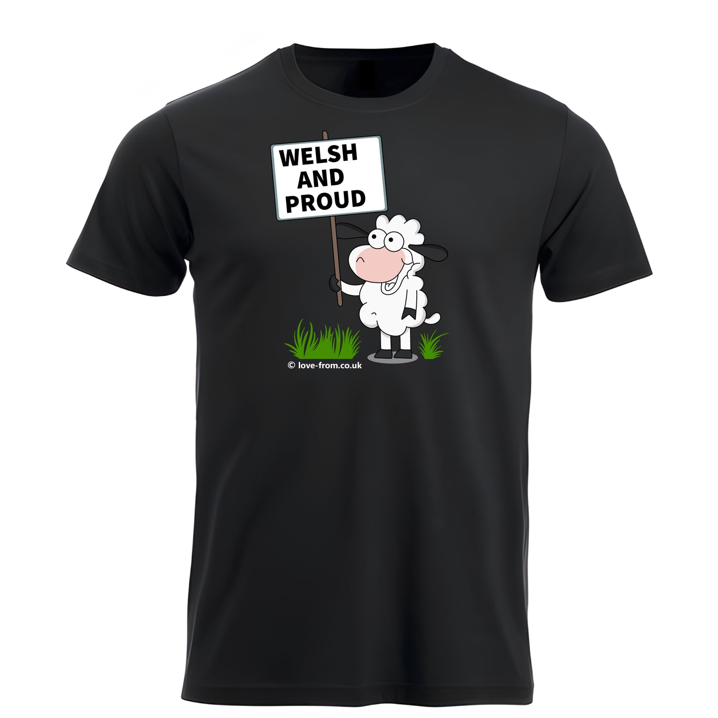 Welsh and Proud Sheep Demonstration t-shirt farming 203004